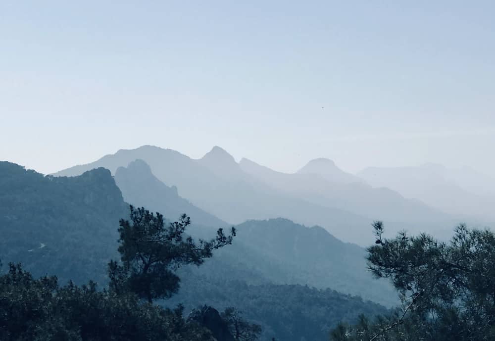 Cyprus mountain landscape connected to Amanda Saurin’s early plant work