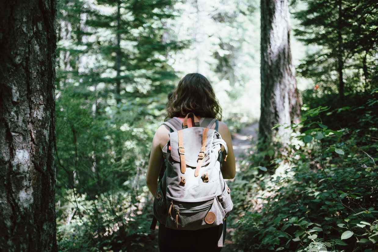Take a hike - Joys of Summer