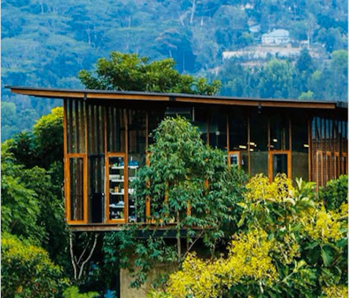 Forest wellness retreat in the mountains of Sri Lanka