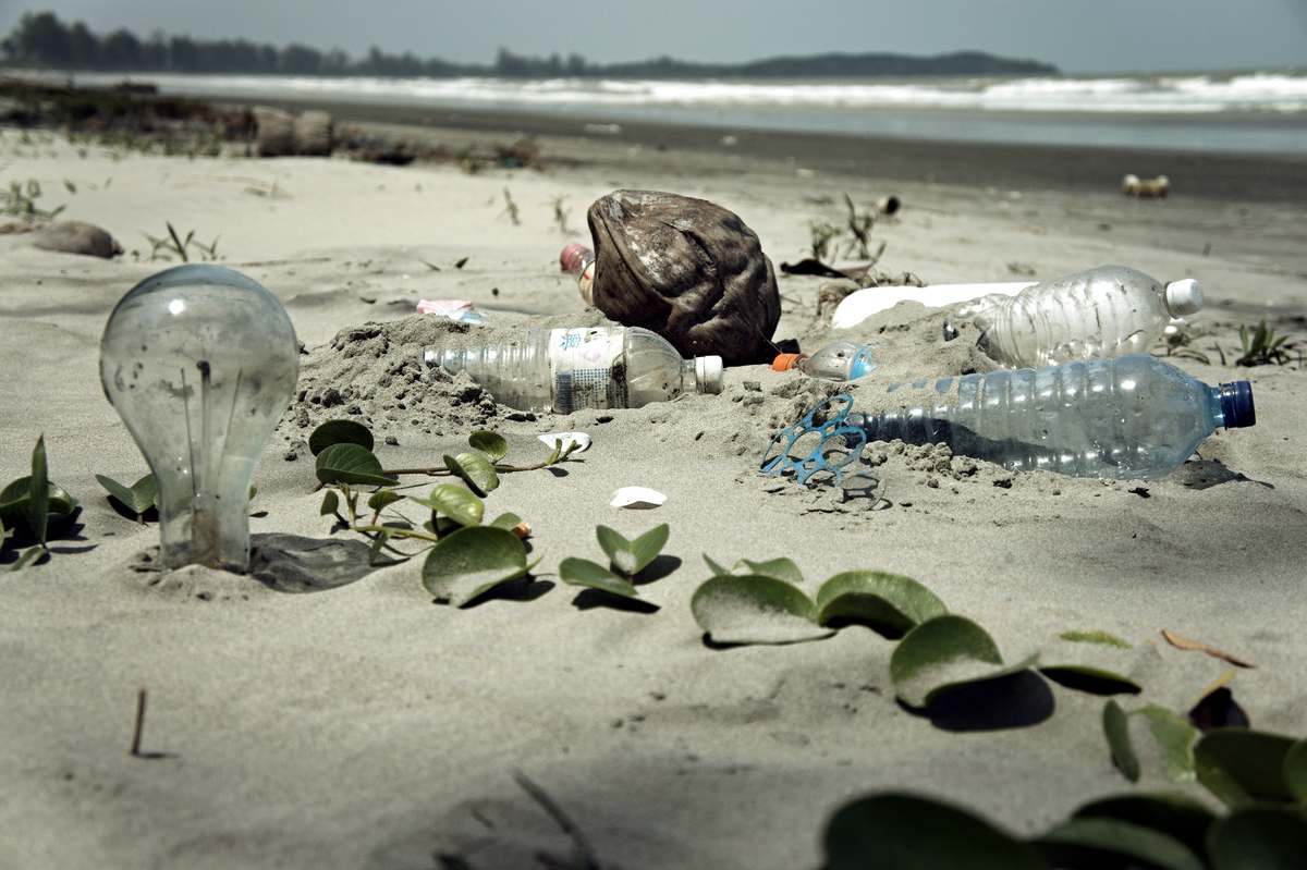 Plastic bottles and other waste washed up on a beach