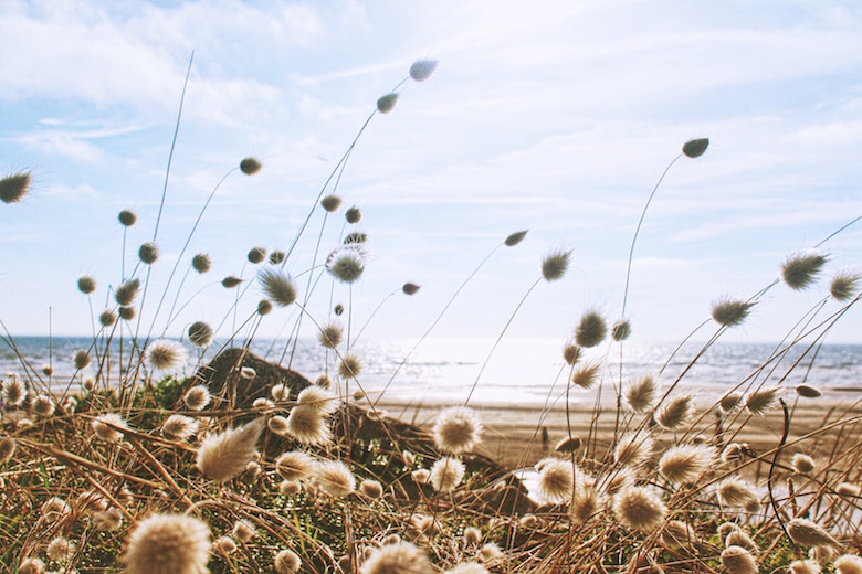 What is Slow Living