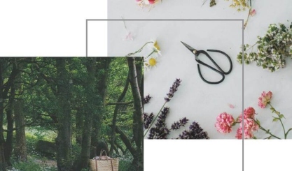 Wildflowers, gardening shears and a woodland walk illustrating Jen Chillingsworth’s seasonal living