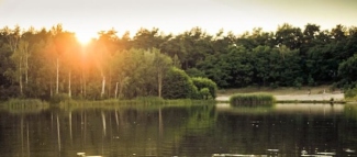 Linen article image for Take It Slow, the Wild Swimming Way