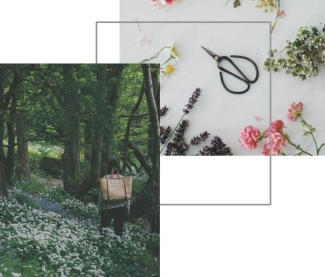 Wildflowers, gardening shears and a woodland walk illustrating Jen Chillingsworth’s seasonal living